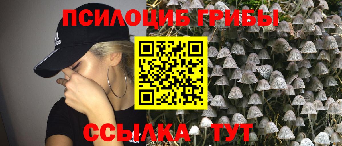 Псилоцибиновые грибы Psilocybe  Вход с VPN  Красноярск 